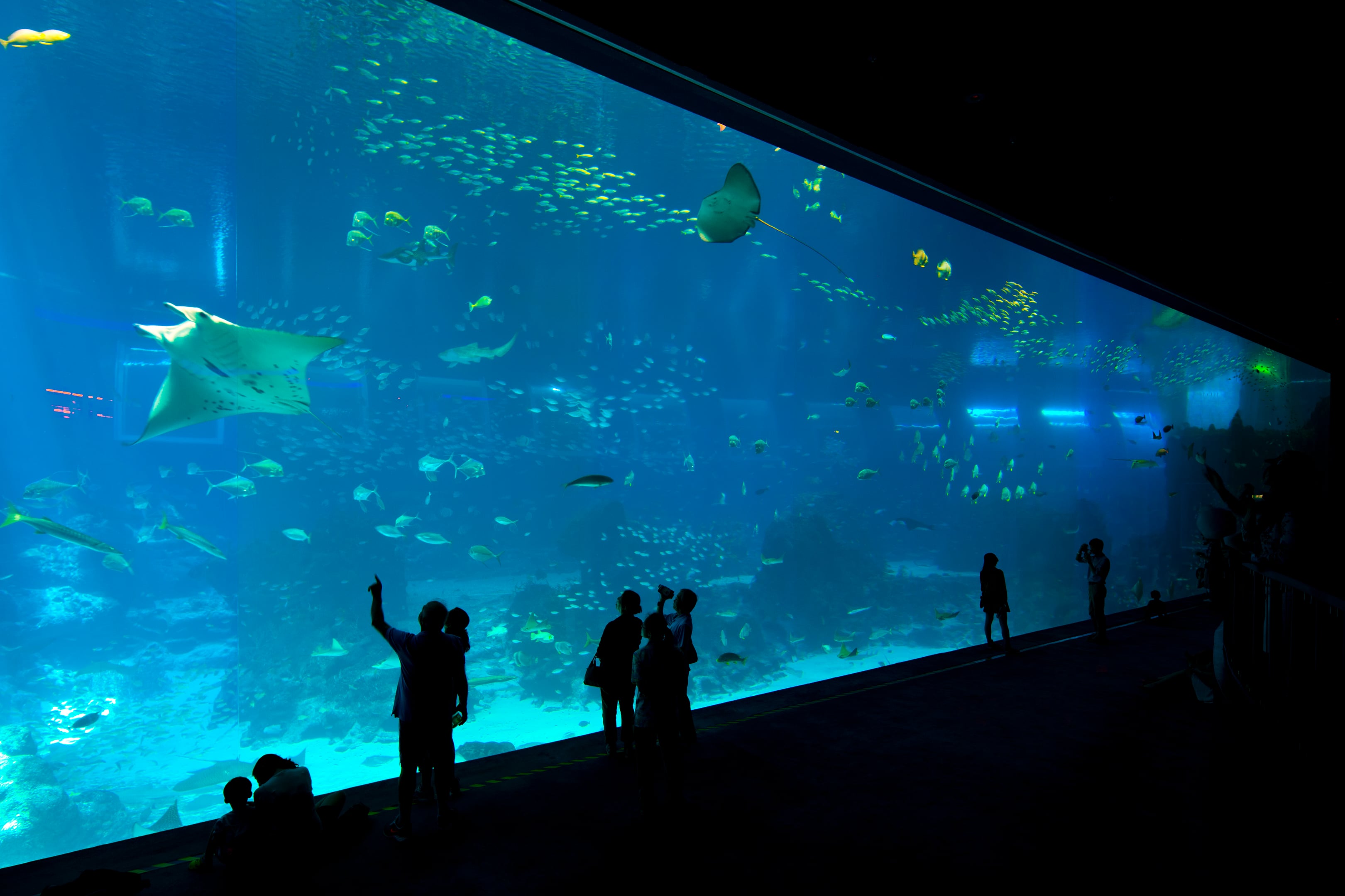 Singapore Oceanarium